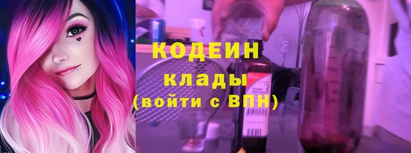 2c-b Инсар