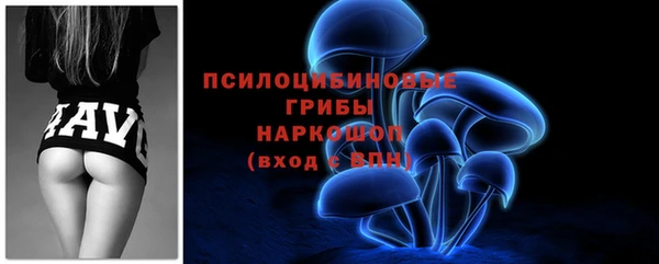 СК Арсеньев