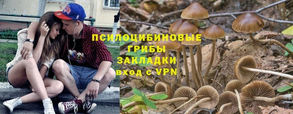 гидропоника Аркадак