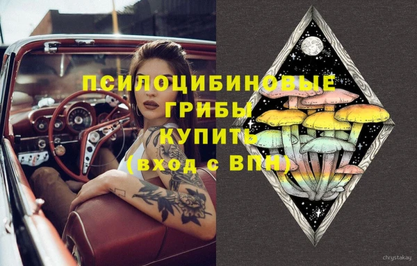 гидропоника Аркадак