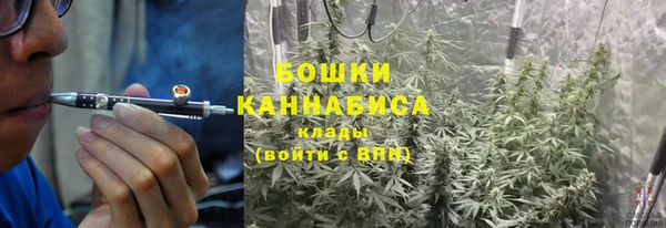 трава Армянск