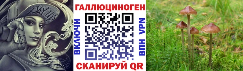 Псилоцибиновые грибы мицелий Елабуга