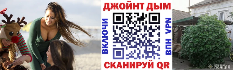 Бошки Шишки план  где купить наркотик  Елабуга 